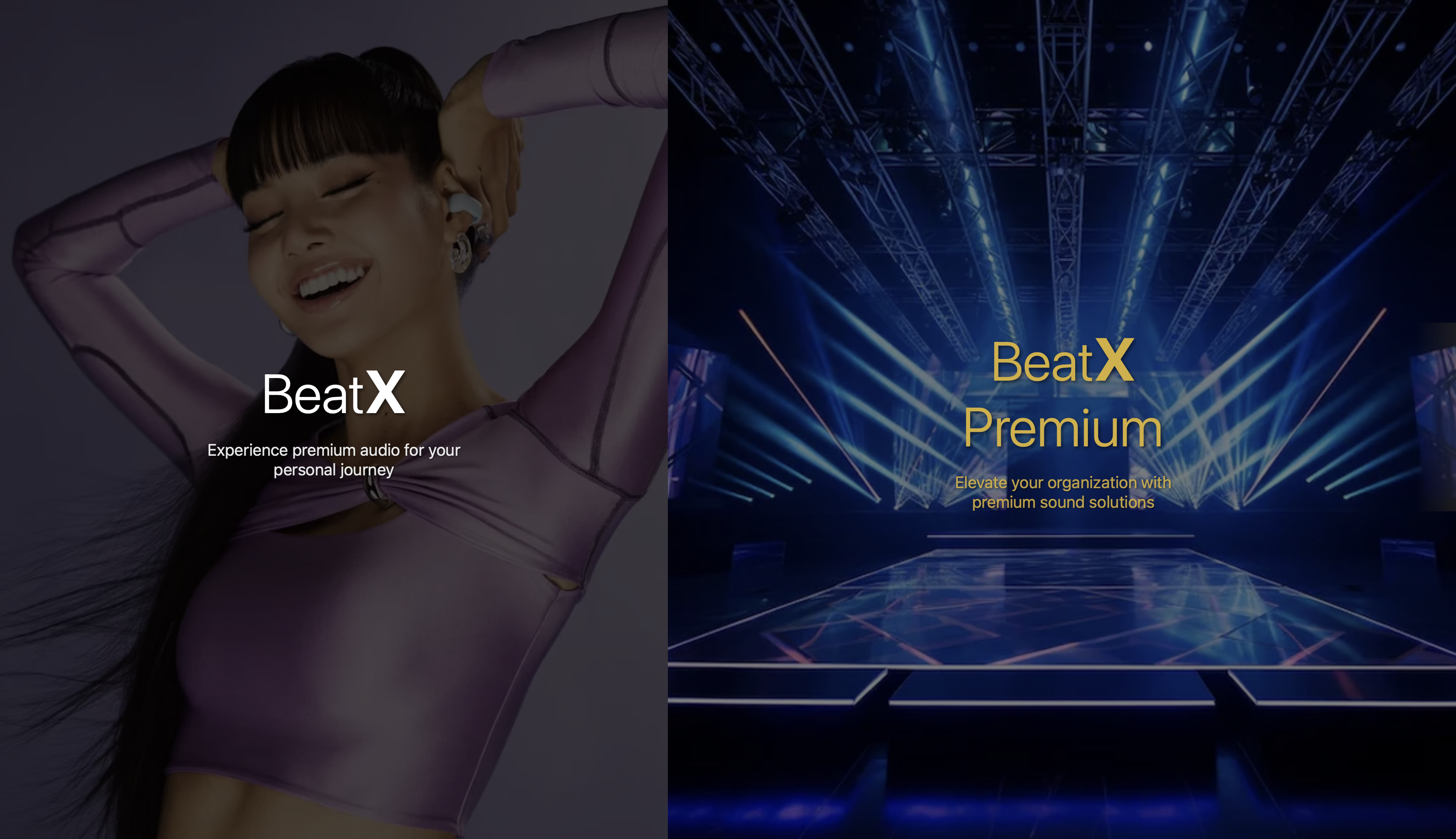 BeatX Website Screenshot 1